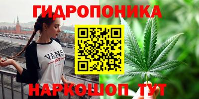 крисы Волгодонск
