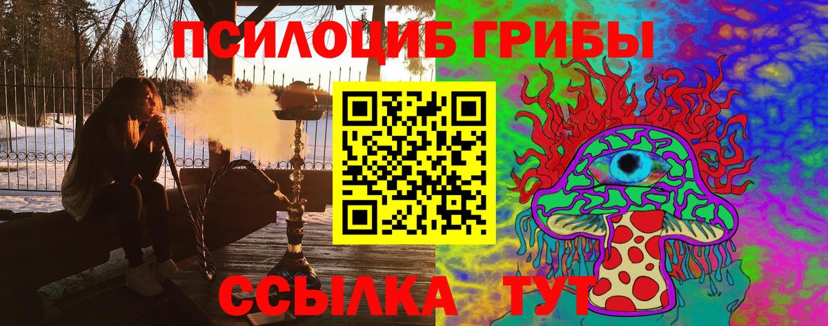 Галлюциногенные грибы Psilocybe Елизово